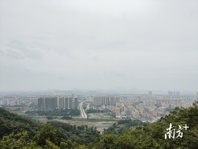 夏日避暑上庄山｜茂名滨海漫游图鉴