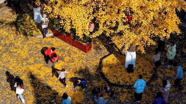 抢票式晒太阳！解码彭州“限量版暖阳”的私藏地图