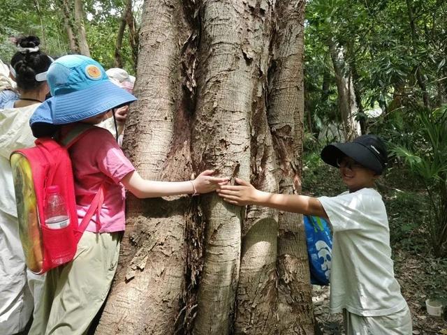 羽林探秘、绿脉解码、古树寻宝……这个暑假，亲子家庭沉浸式体验松江森林课堂