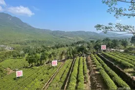 万千气象看广东：“百千万工程”助汕尾“老区”焕“新颜”图片