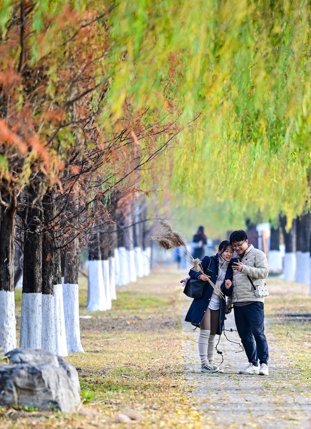 初冬园博园，周末好时光