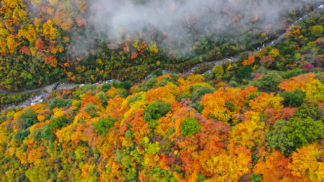 这一次，不得不去绵阳了！