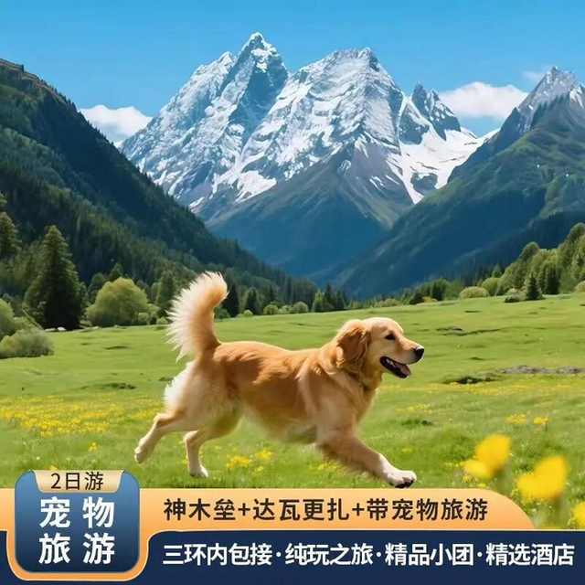 国庆假期宠物去哪儿