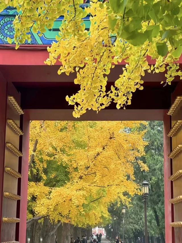 北京秋天必打卡十件大事