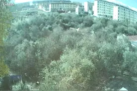 青海门源凌晨多处监控显示天空突然亮如白昼，持续几秒，多部门回应图片
