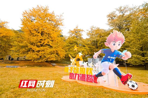 桐子坳还能这样玩②解锁秋日新体验：文创互动让银杏季更出“圈”
