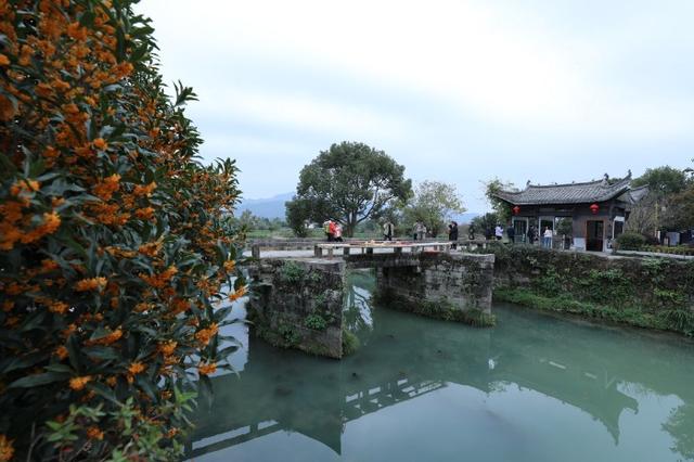 黟县：卢村秋色引客来