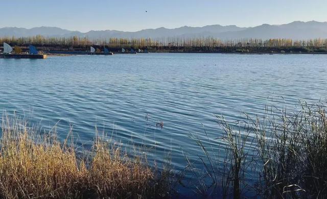 杨凌美成“调色盘”！你爱了吗？