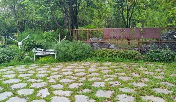 广州花都新地标+1！花都白鹭公园正式开放