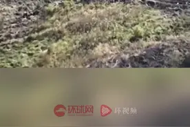 俄国防部公布视频：乌军多辆战车在库尔斯克地区被俄军“无人机”摧毁图片