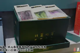 果然视频|状元灯、蔬菜盲盒等产品亮相潍坊市特色产品提升新品展图片