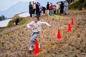 做精一片田 激活一湖水 扮美一座城 云和实施全域5A工程带动县域景区化发展图片