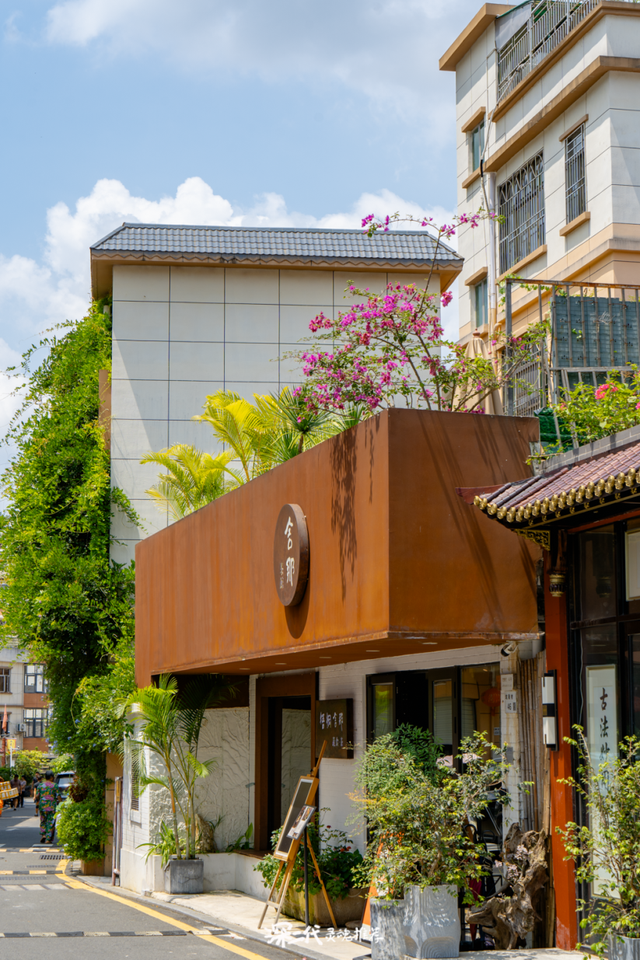 三大世界冠军助阵！直击2025梧桐山登高赛！