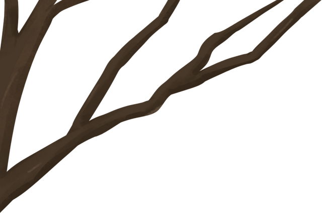 雪假在明天，抓紧来白山——游醉美边境线