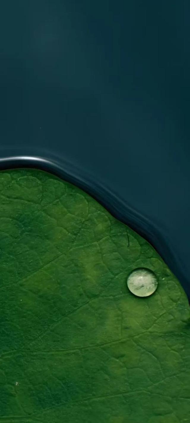 四时天工 扬州如画