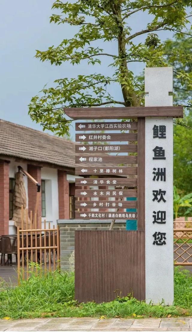 江西秋日自驾天花板，这几条公路带你驶入最美秋色！