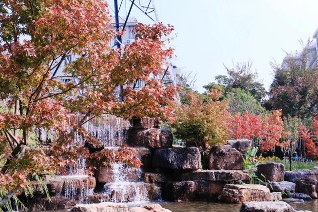 凭实力出圈！静安这座“宝藏公园”获国家级“儿童友好”认证！树屋、滑梯、秋千……太好玩啦