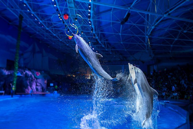 山海为媒，爱意满潮！青岛甜蜜旅游十大主题线路抢先看→