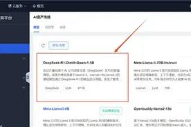 京东云全面上线DeepSeek-R1/V3 支持两种模式一键部署图片