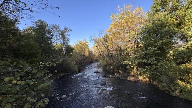 假期闲记（二）