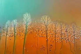 黄海1号公路，此生必驾！图片