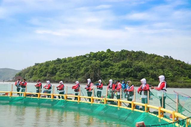 遛娃、钓鱼、吃海鲜……福鼎这些地方适合“全家总动员”