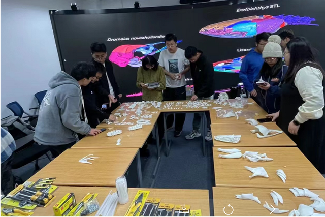 这个小盒子里的化石材料	，产生了非常多举世瞩目的成果，有十几篇顶刊文章｜卢静 一席少年第36位讲者