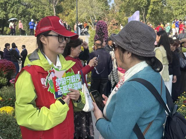 金菊铺锦映江城，志愿红暖赏菊路，武汉文旅志愿者护航金秋菊展