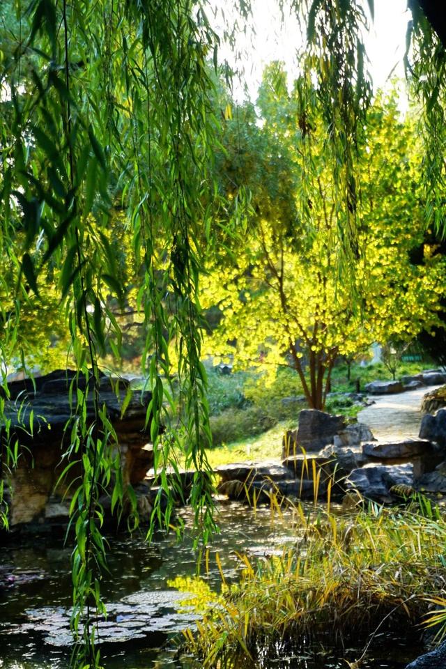 海淀这个免费公园，“藏”着秋天的所有颜色——