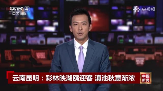 跟着央视三大频道一起赏昆明“限定款”秋色