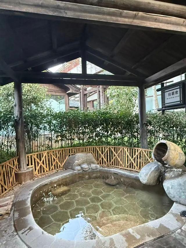 湖南绝美银杏打卡地，太出片了