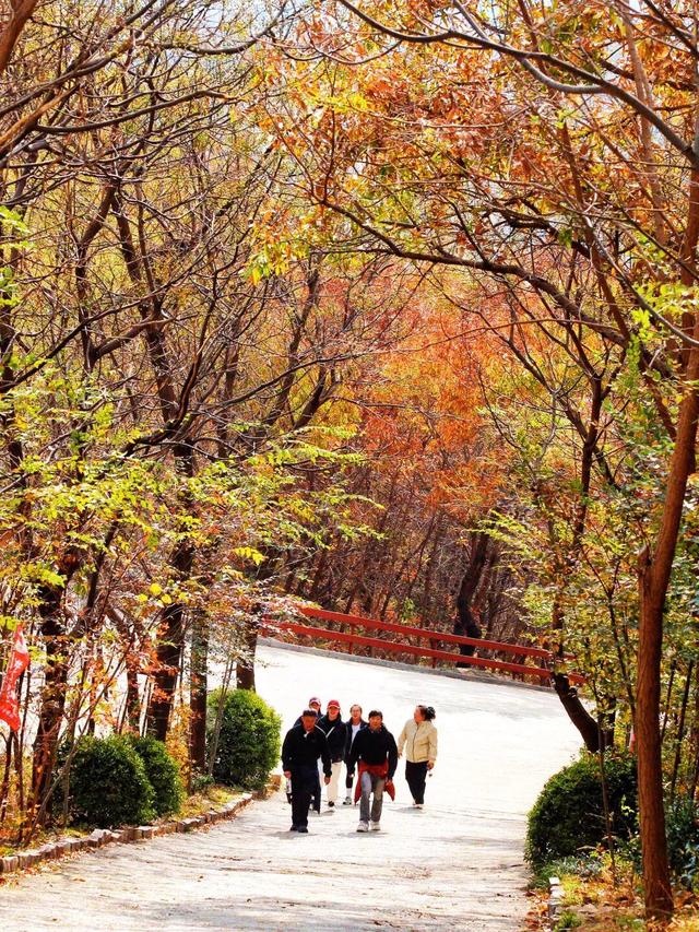 威海这个4A级旅游景区免费！登山看海+千年祈福，初冬盛景不辜负