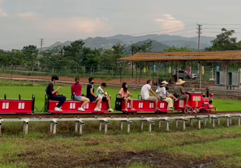 “双节”来四会！禾风稻田农场喊你：白天撒欢、夜晚追光，美味还管够！