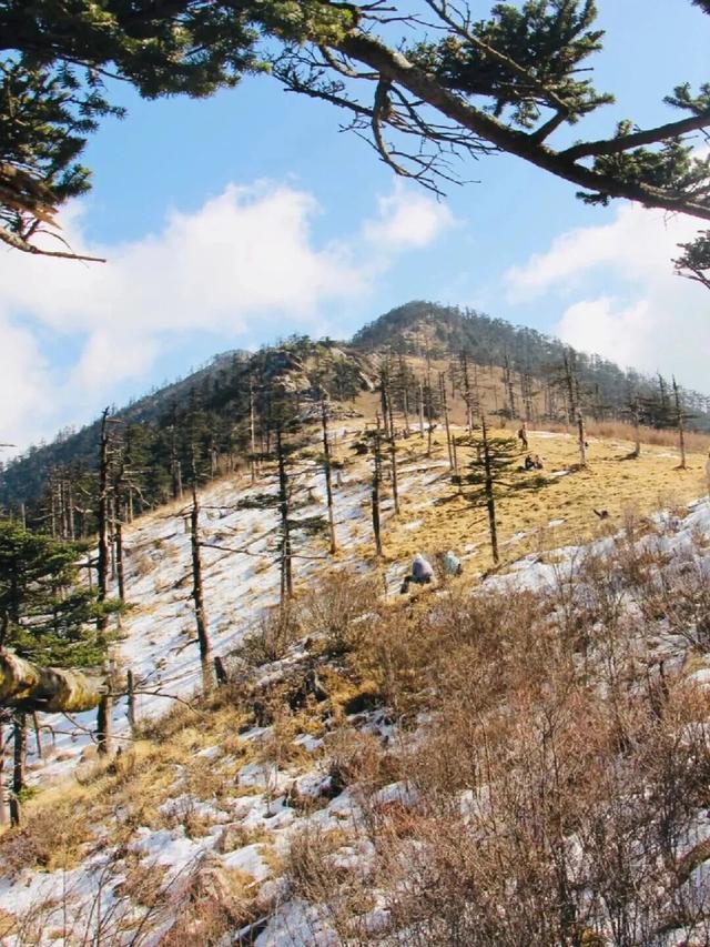 淡季优惠来了！这些秦岭景区向你发出冬日邀约