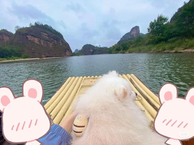 滑板耶耶帅气出街，打卡道家仙山！龙虎山宠物友好景区实锤了，快带上毛孩子来畅玩仙境福地！