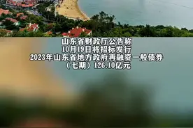 山东省拟发行282亿元特殊再融资债券，募集资金用于偿还存量债务。#融资债券图片