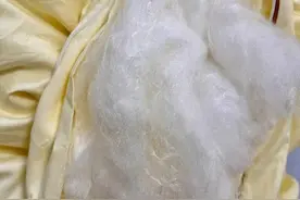 别开门！别买！低价品牌蚕丝被？假的！多地有人中招图片
