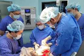 把肾取出来，切了肿瘤再植回体内！仁济完成国内首例“工作台”保肾手术图片