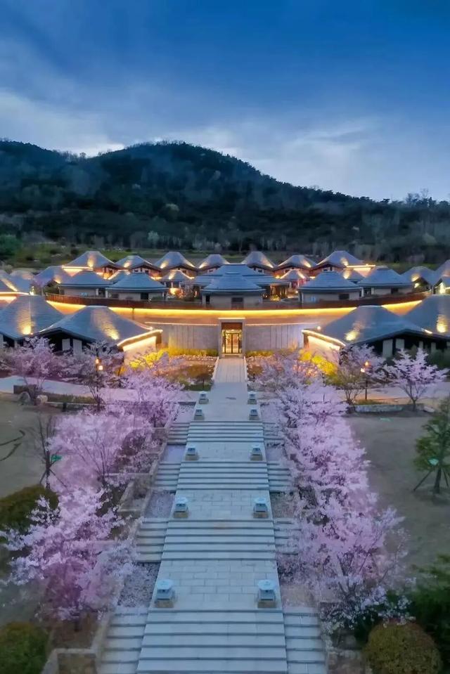 这个元旦，我在山东这样玩