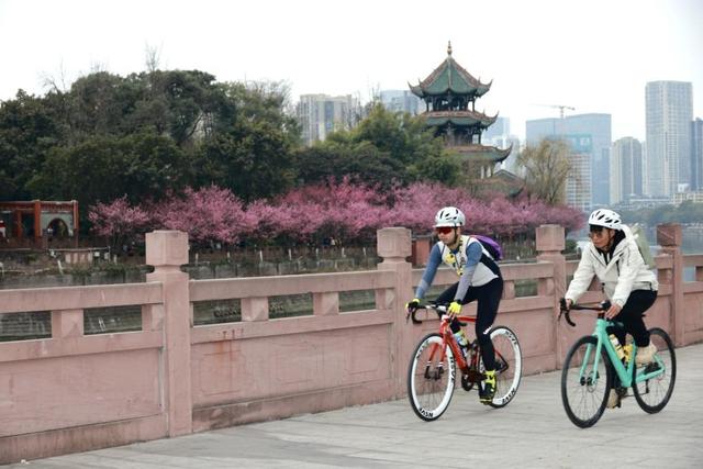 赏梅、逛集市、观看汉服巡游……望江楼公园文旅活动持续点燃春日赏花经济