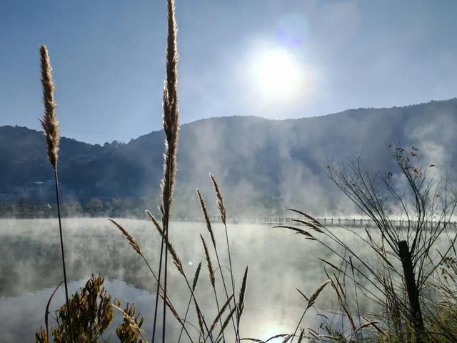 冬日雾色里的禄劝：一半仙境，一半人间