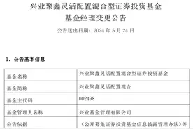 任职回报超48%基金经理腊帅离任 兴业聚鑫灵活配置换帅图片