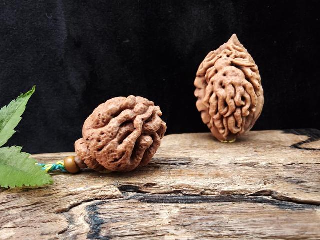 “璀璨星光 大美非遗” 2025年度养生市集专场温暖登场