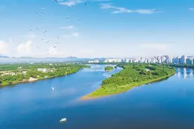 海南周刊丨万泉河美食：绝味琼海图片