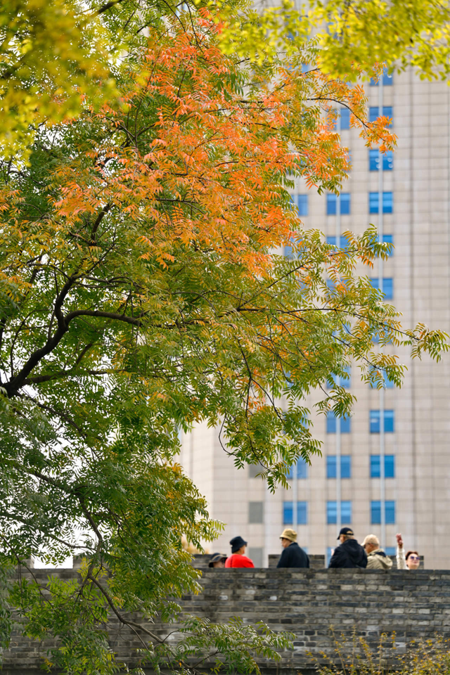 美翻了~这个秋假，来南湖吧！