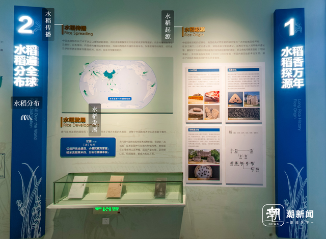 走进青田稻鱼共生博物馆，解码千年江南稻作密码