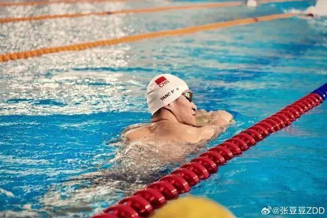 十五运会男子400米自由泳预赛孙杨、潘展乐同组；此前孙杨称全运会是一场硬仗，“拼死也要战”