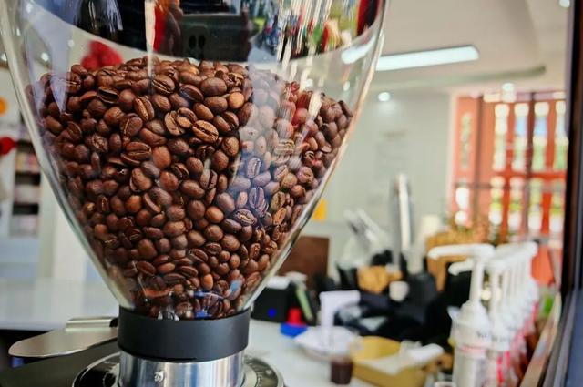 快来打卡叙永新地标！永宁城市书房：感受书香+咖啡的文化万花筒