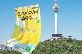 10万朵栀子花，本周末这些地方免费领图片