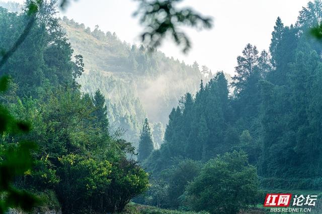 岁暖时刻丨雾锁湘西晨色里，一方秘境藏烟火